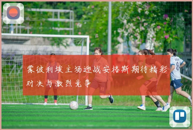 蒙彼利埃主场迎战安格斯期待精彩对决与激烈竞争