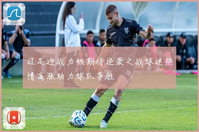 辽足迎战力帆期待逆袭之战球迷热情高涨助力球队争胜