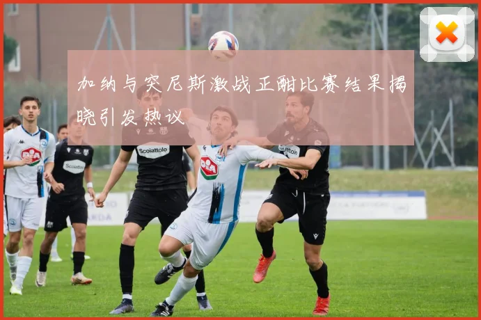 加纳与突尼斯激战正酣比赛结果揭晓引发热议