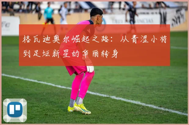 格瓦迪奥尔崛起之路：从青涩小将到足坛新星的华丽转身